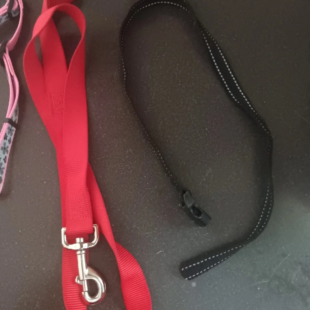Leashes - Picture 14 of 15